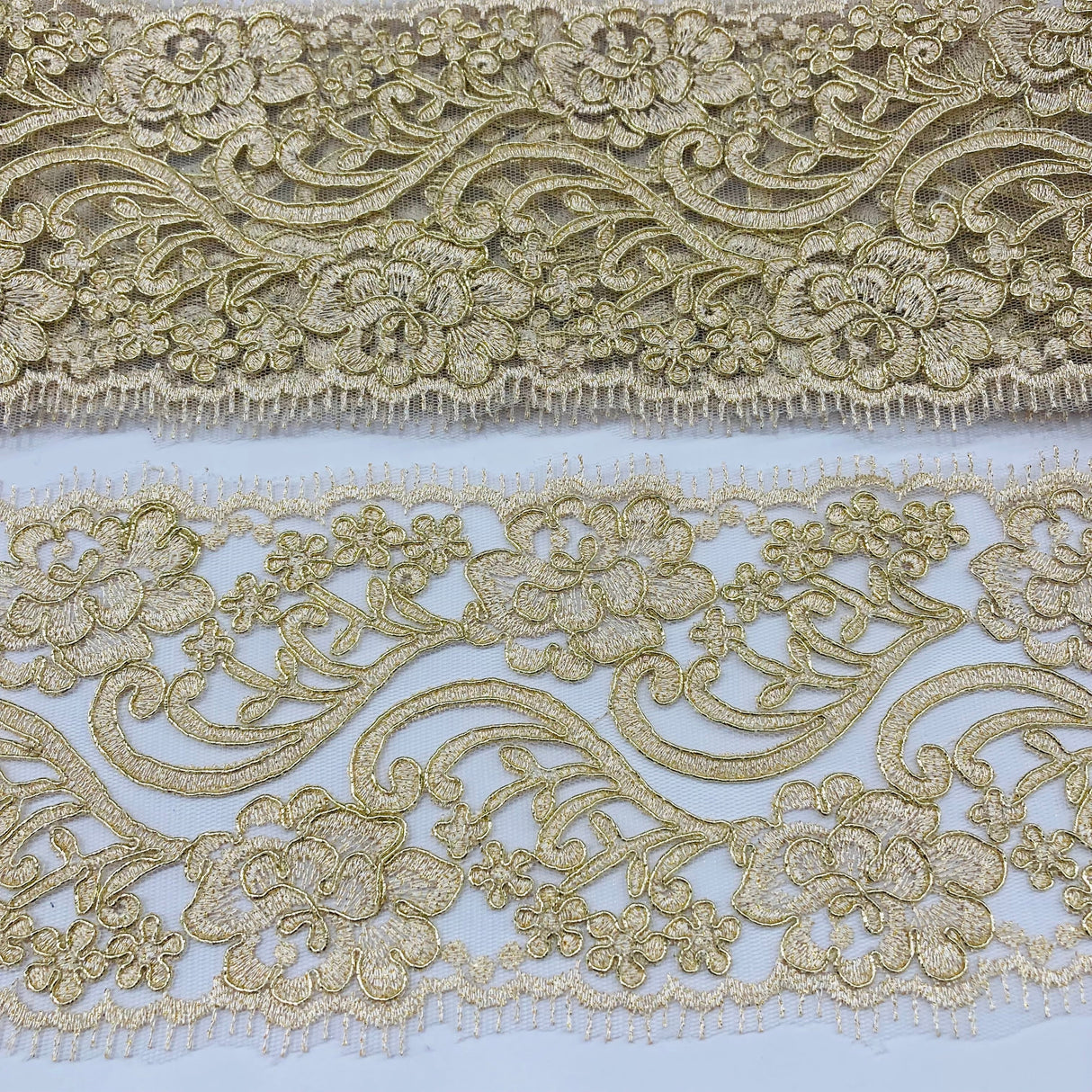 Embroidered Corded Lace Trim