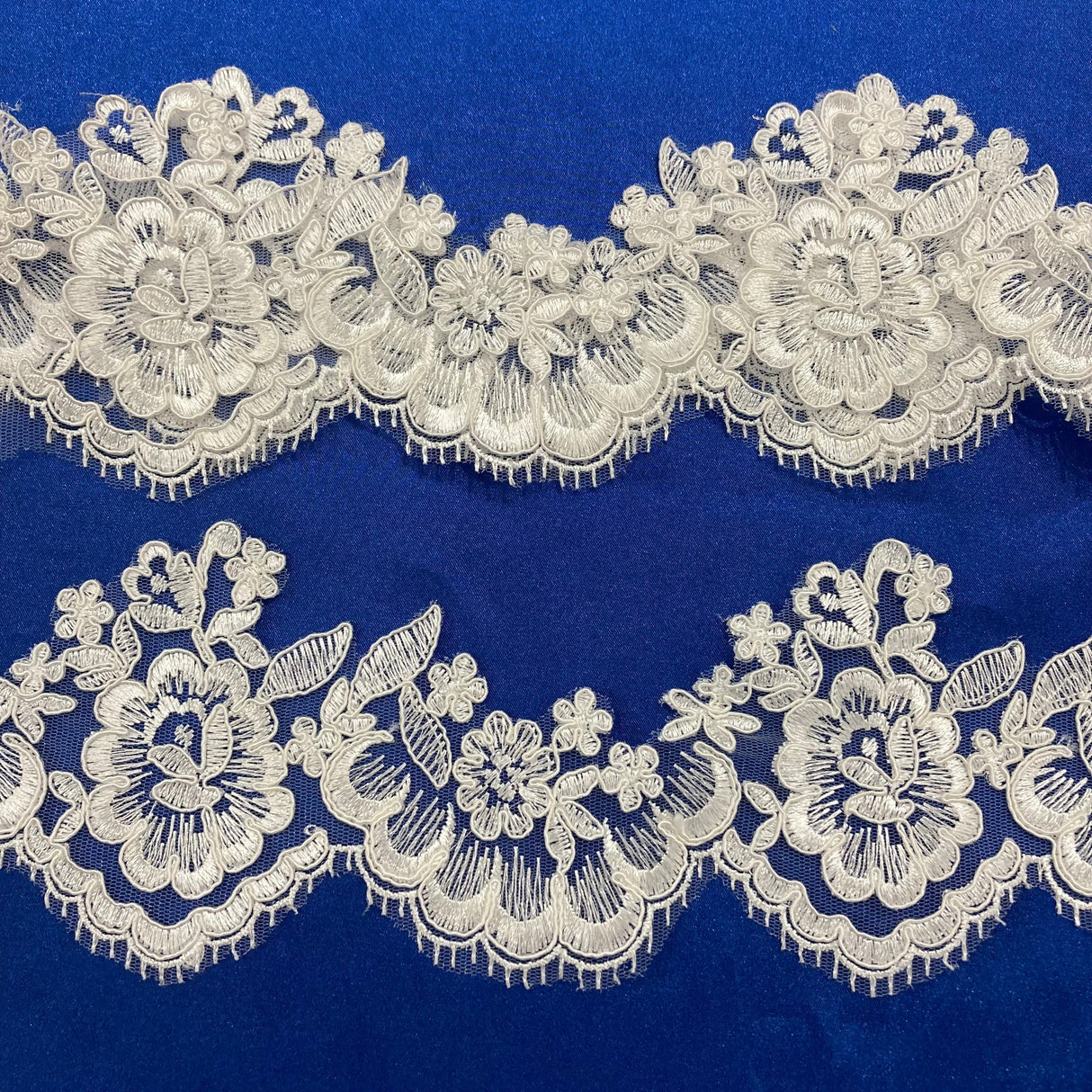 Corded Lace Trimming Embroidered Mesh