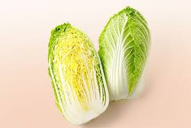 Napa Cabbage (Chinese Cabbage)