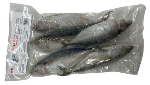 Mackeral – Indian