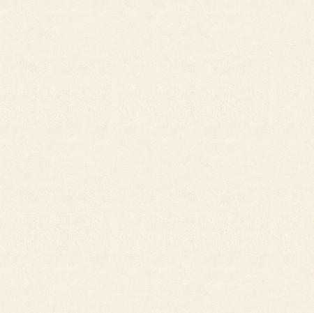 Ivory Solid Minky Fabric,