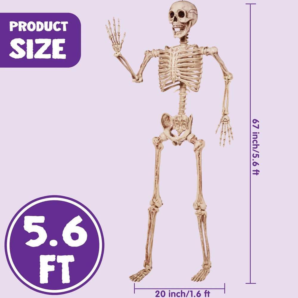 5.6 ft White Posable Skeleton Halloween Decoration