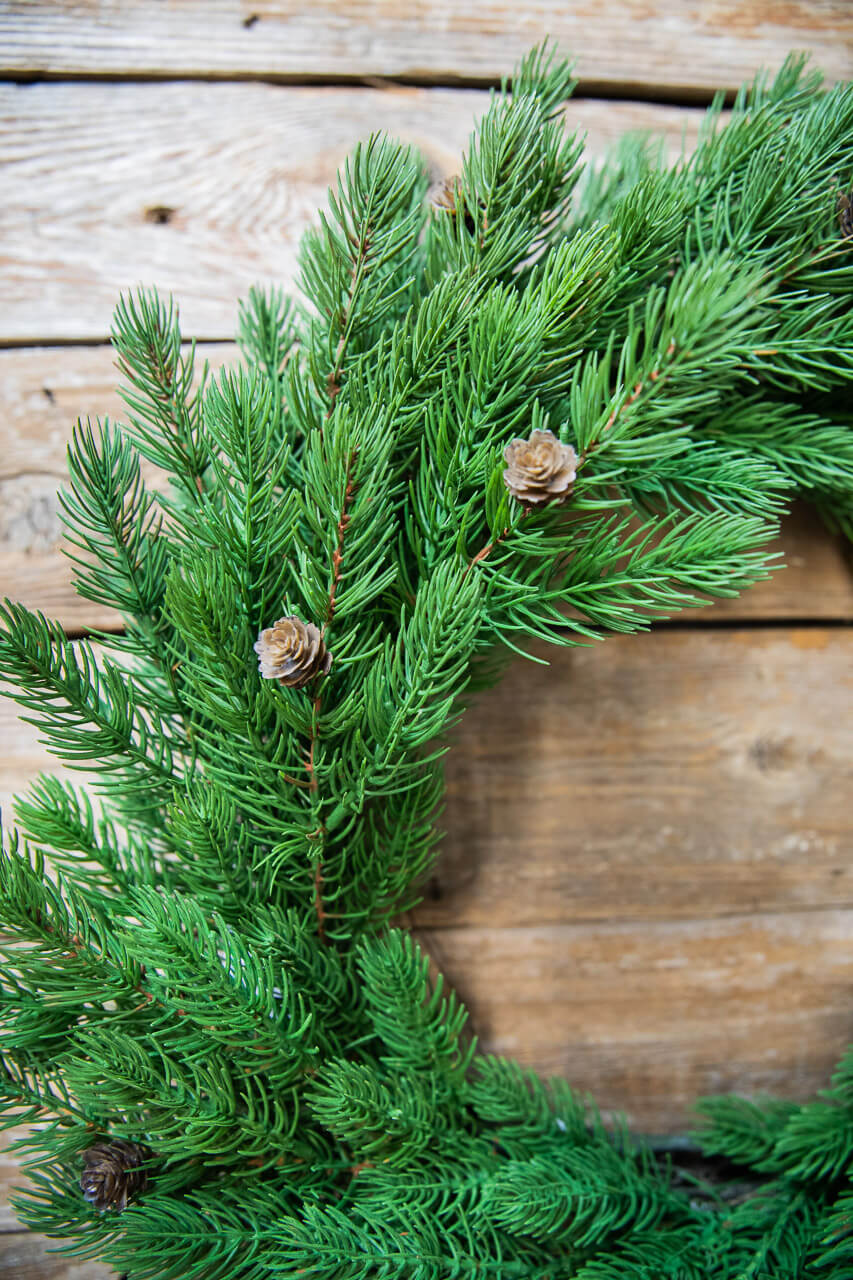 24” Just Cut Spruce Wreath