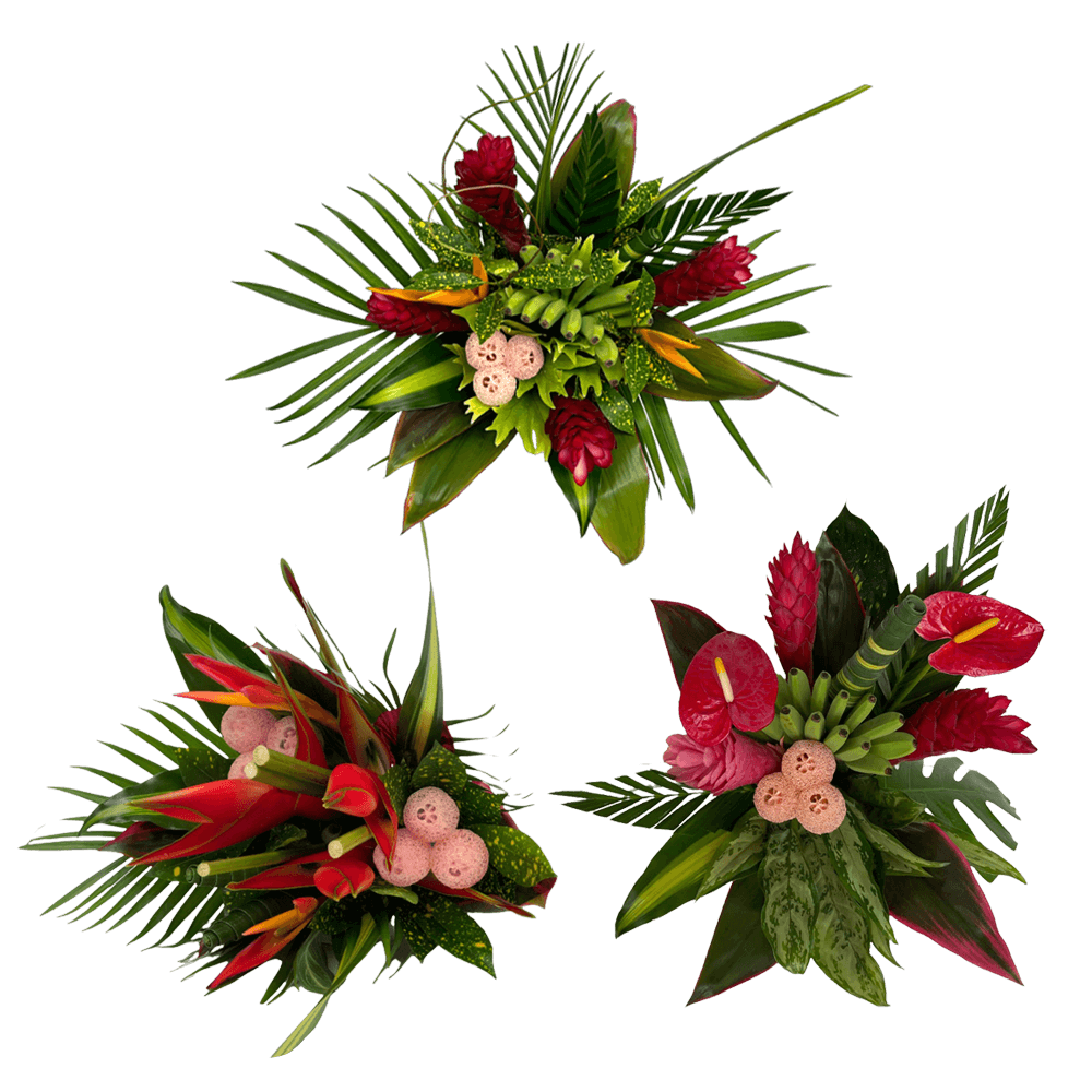 Rainforest Tropical Bouquet Fresh Flower Arrangement