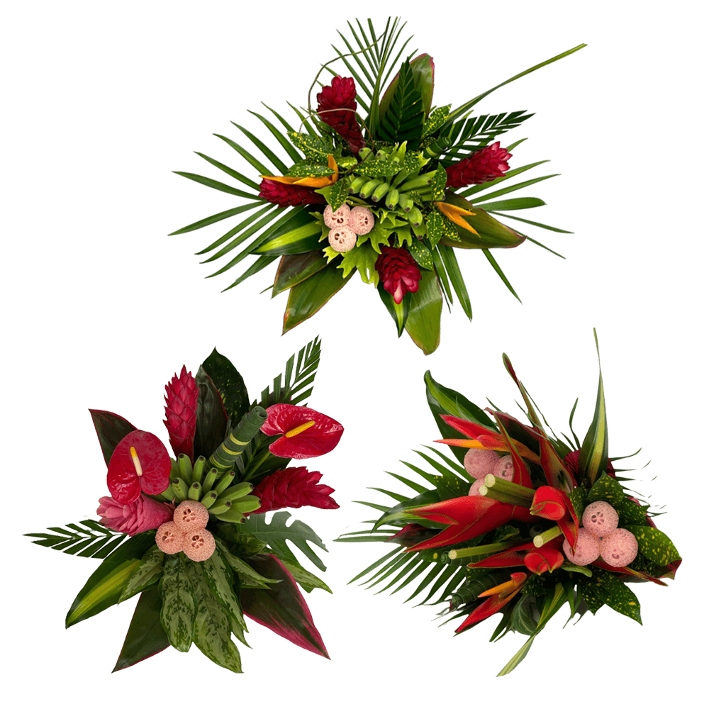 Rainforest Tropical Bouquet Fresh Flower Arrangement