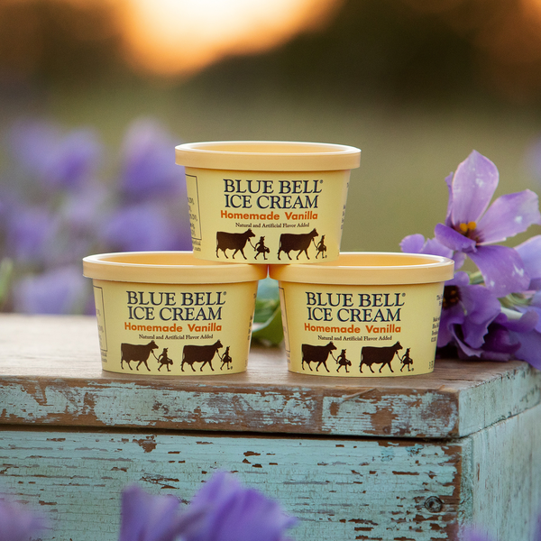 Blue Bell Vanilla/Chocolate Cups