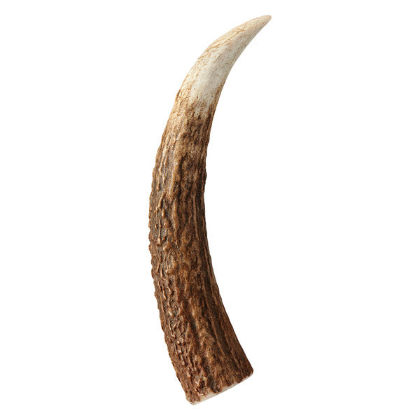 Pure Being Whole Antler - L