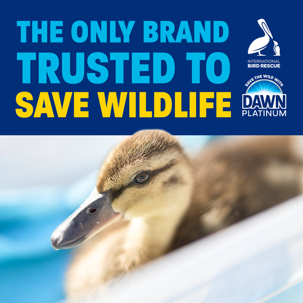 Dawn Ultra Original Dishwashing Liquid
