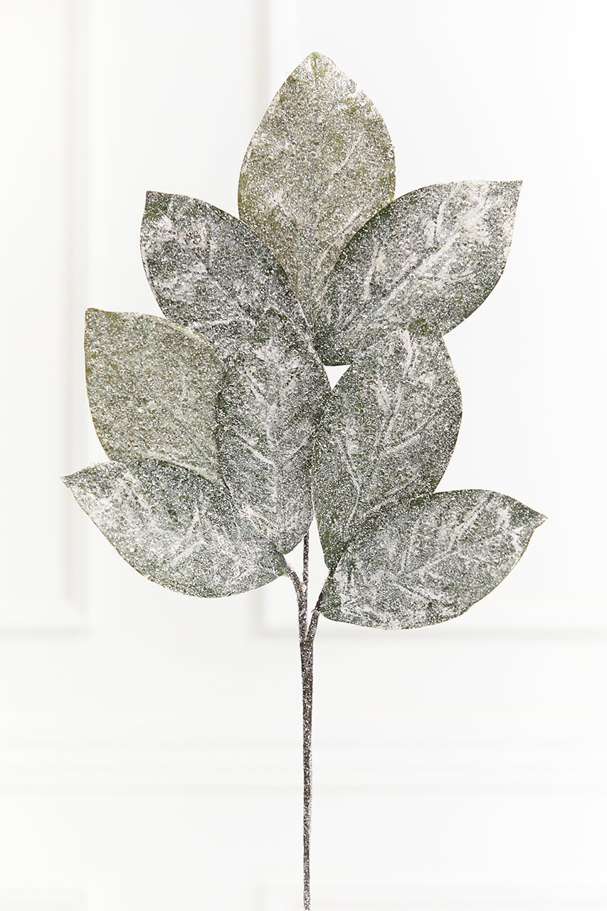 32.5" Frosted Magnolia Leaf Spray