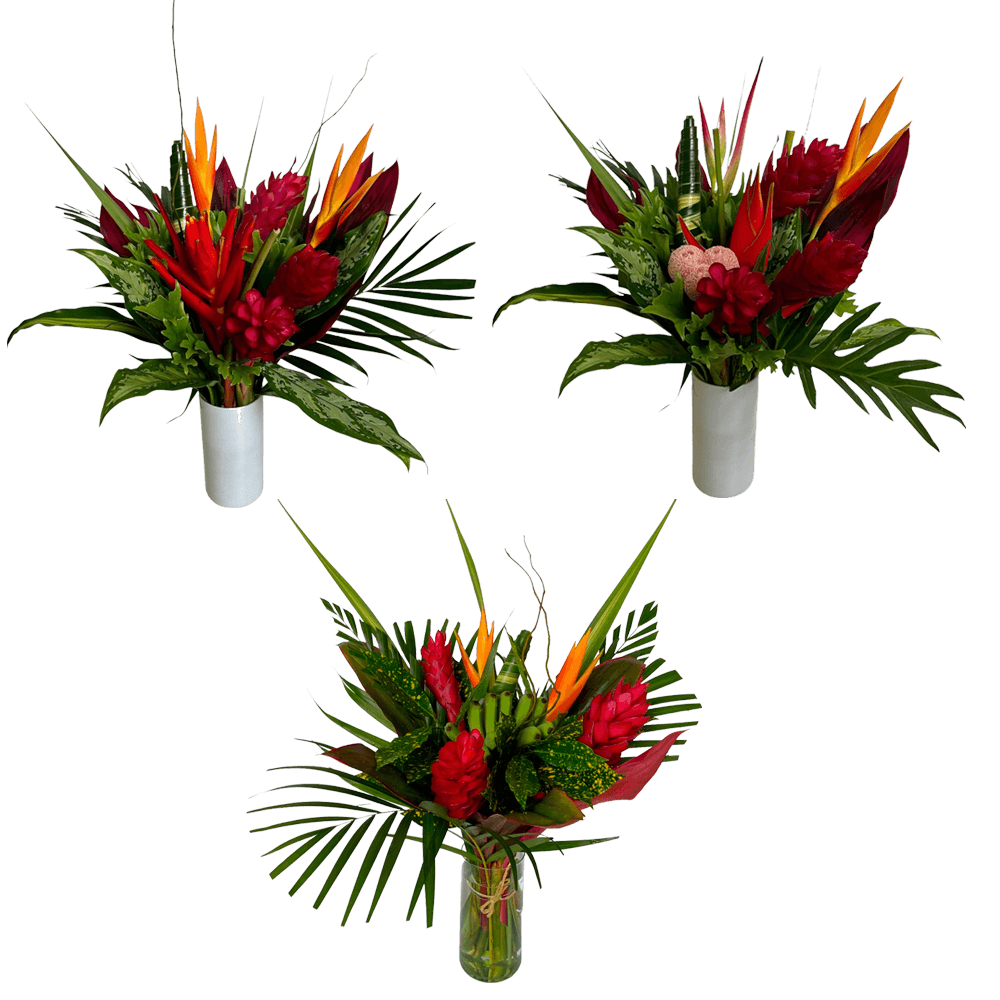 Medium Collection Tropical Bouquet Fresh Flower Arrangement