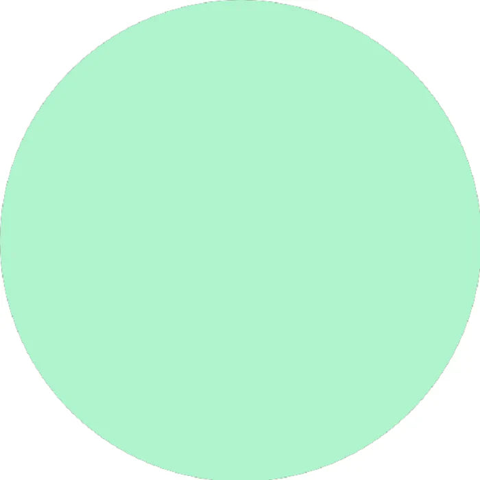 Prolite Heat Transfer Vinyl Fabric - Mint, Plain, 20" H x 12" W (Foot)