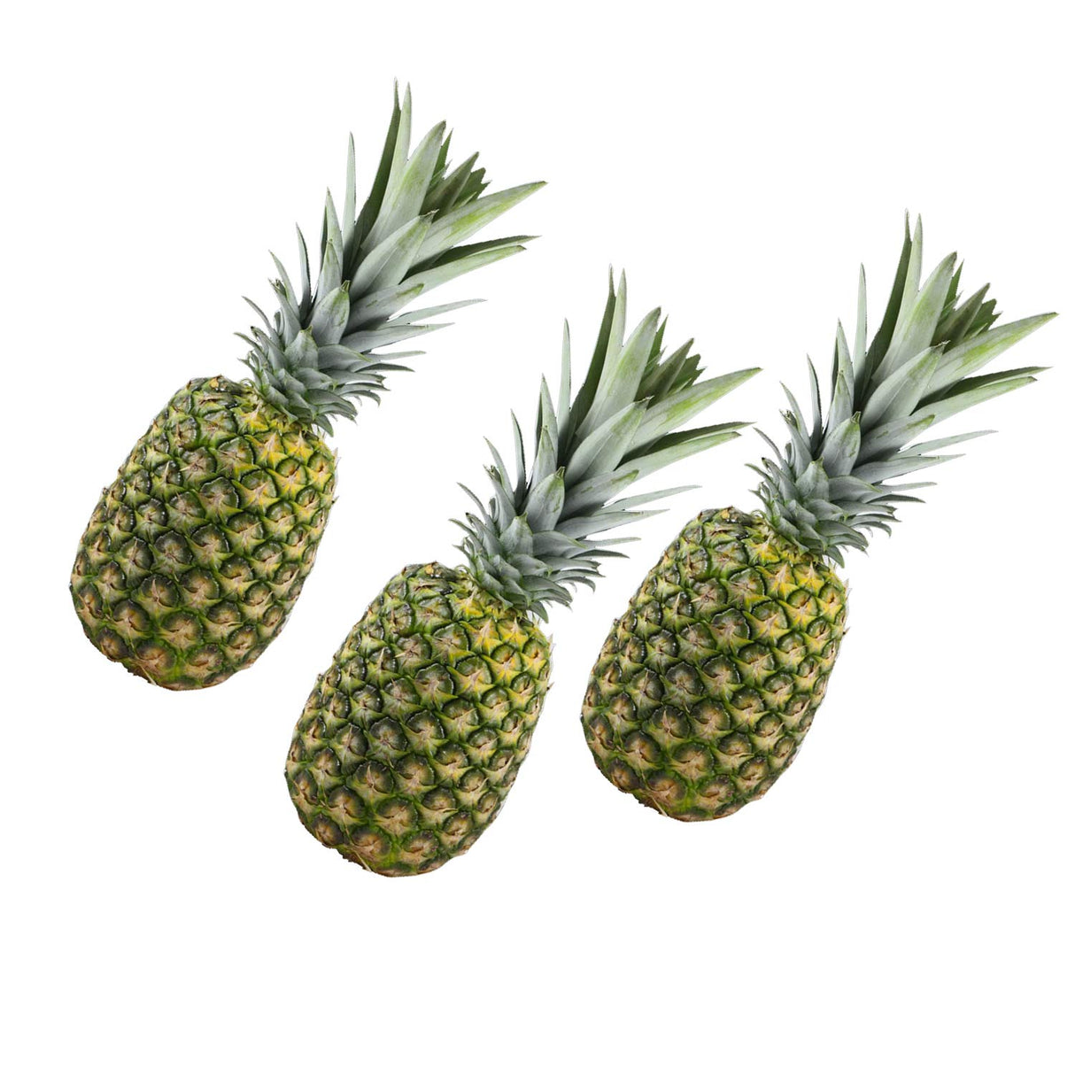 Trader Joe’s Pineapple 1 Each