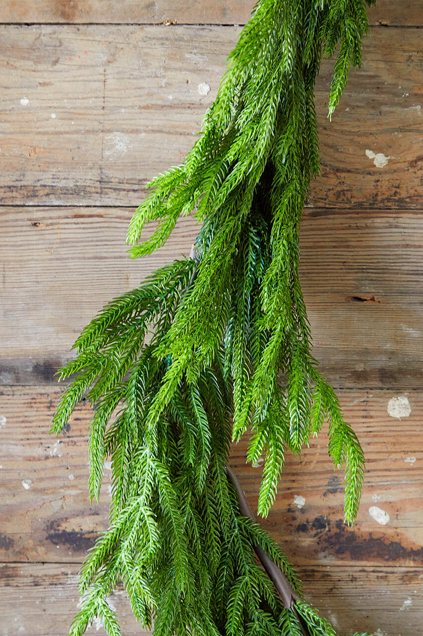 192” Real Touch Norfolk Pine Garland