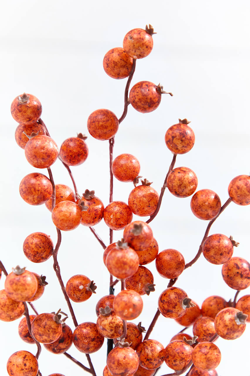 22" Harvest Spice Berry Spray