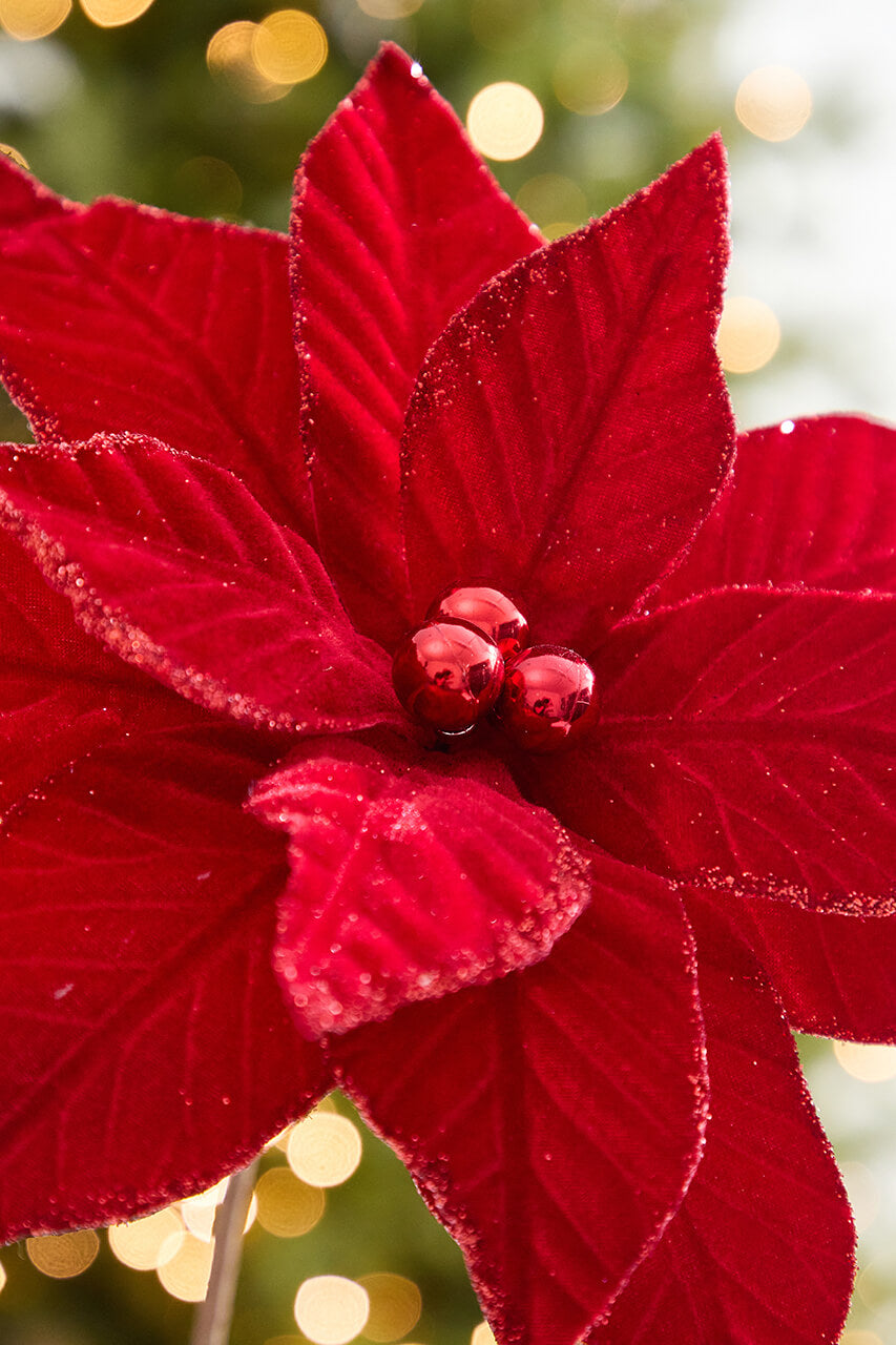 21" x 12" Red Velvet Poinsettia Stem