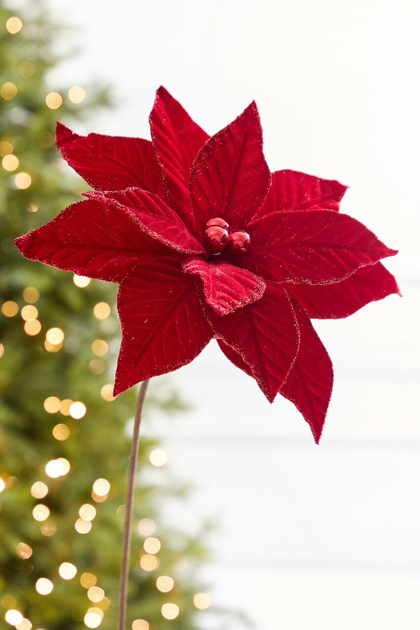21" x 12" Red Velvet Poinsettia Stem