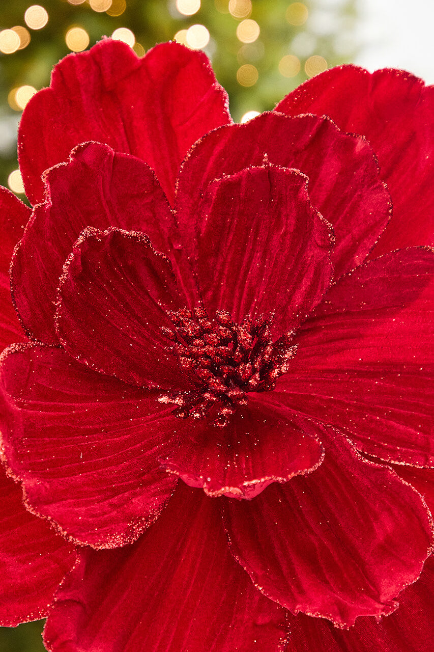 21" x 12" Red Velvet Magnolia Stem