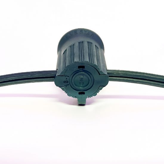 C9 Socket Cord - 100' 12" Spacing