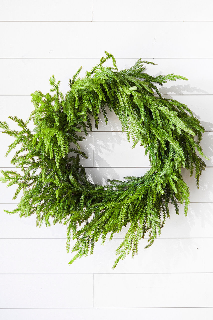 24 Inch Just Cut Norfolk Pine Christmas Wreath