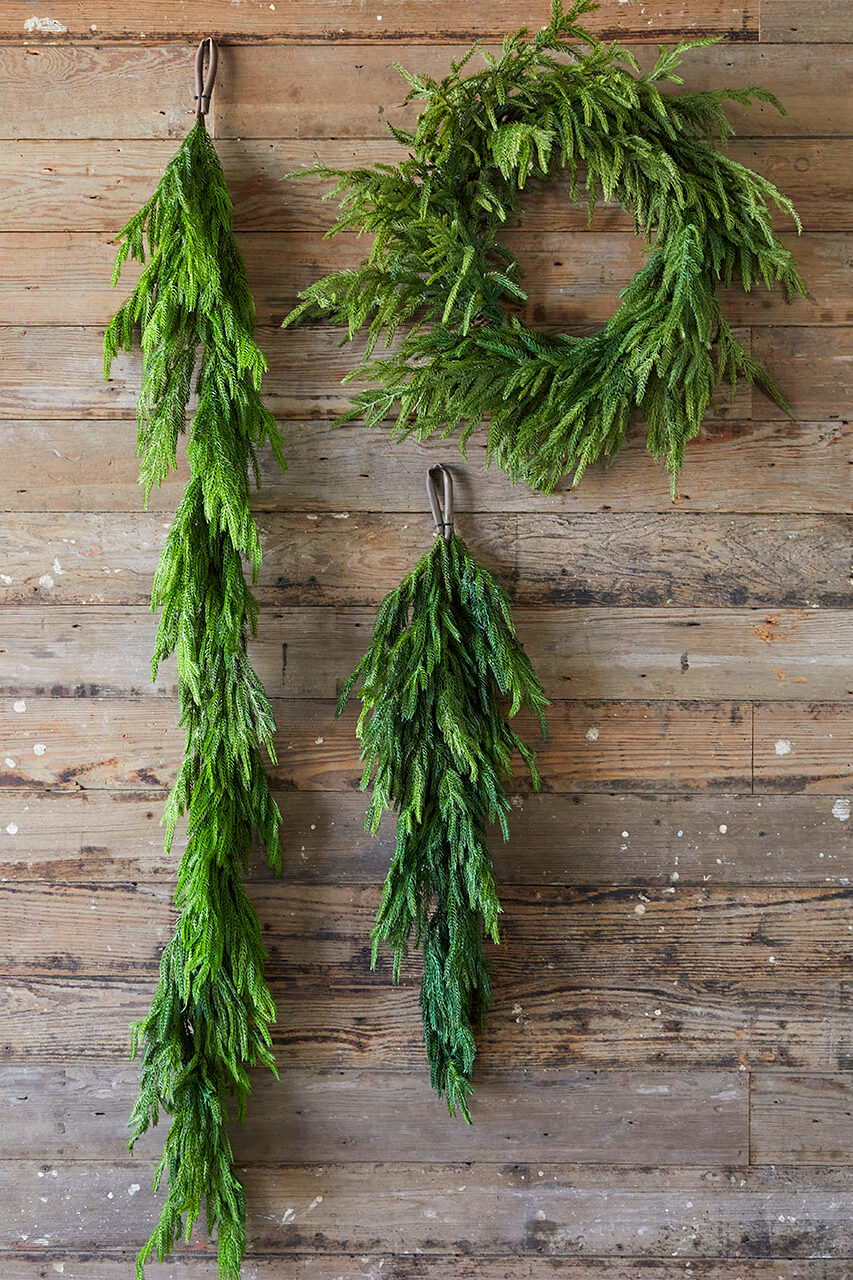 24” Just Cut Norfolk Pine Wreath