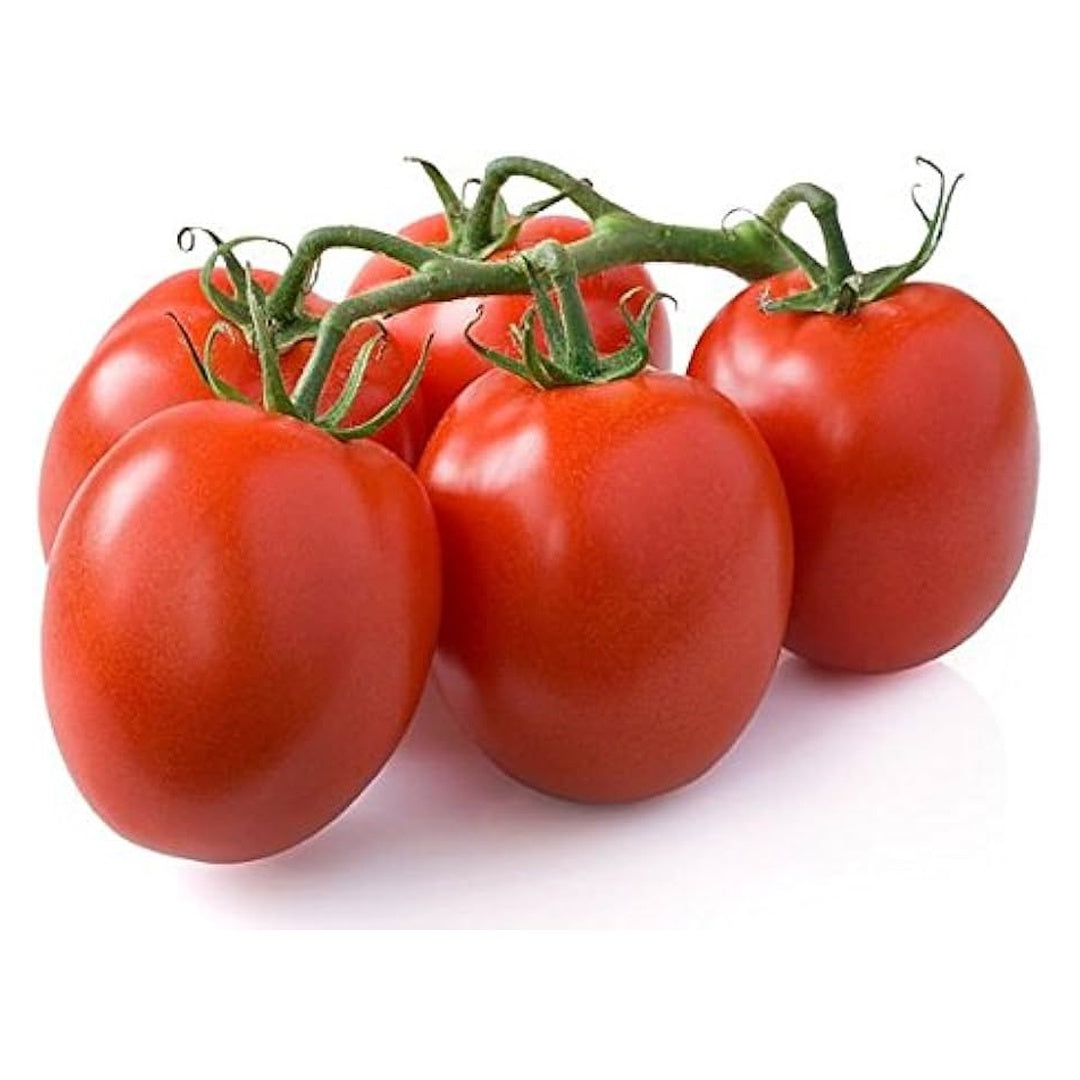 Roma Tomato Heirloom Seeds Paste Tomato Non GMO Open Pollinated Seed Packet