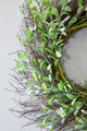 24 Inch Olive Twig Wreath