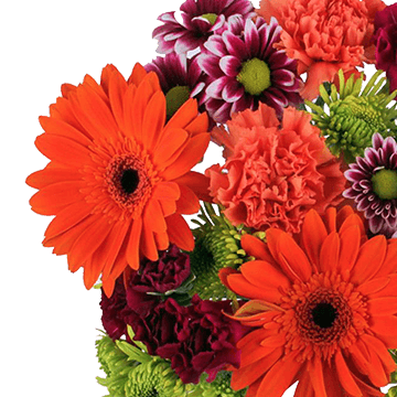 Sunny Days Flower Bouquet Fresh Mixed Arrangement Pack