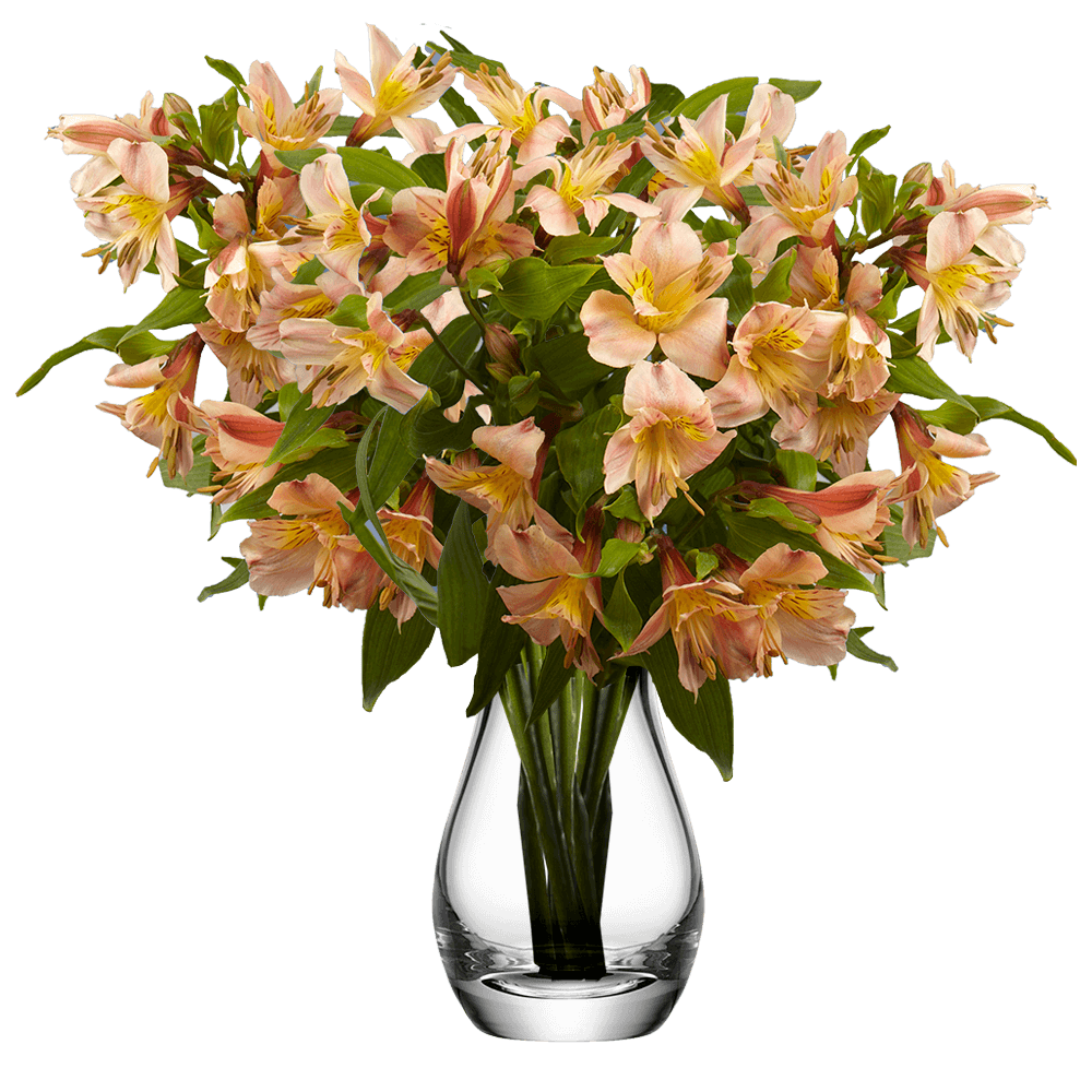 Orange Alstroemeria Stems Flower Bouquets