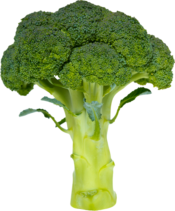 Broccoli
