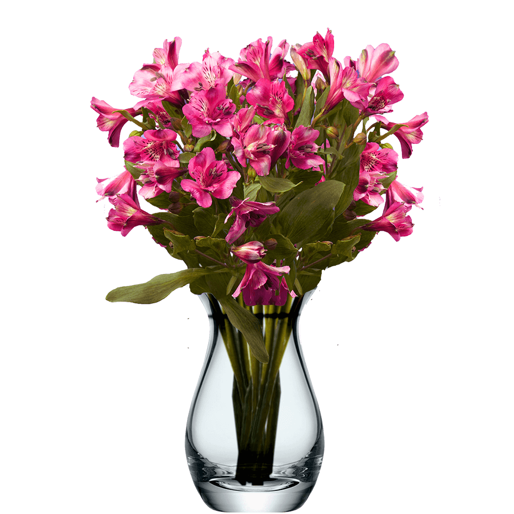 Hot Pink Alstroemeria Stems Flower Bouquets