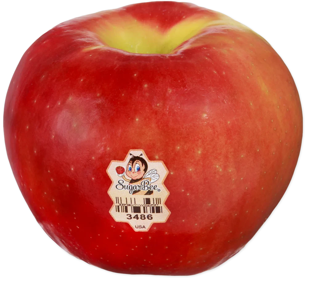 Sugar Bee Apple Fresh Crisp Sweet Apple with Honey Flavor for Snacks and Baking