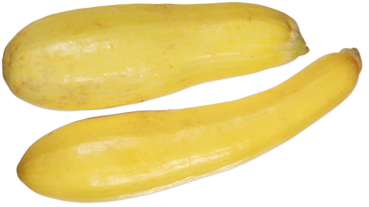Fresh Yellow Squash Tender Vegetable for Cooking, Salads, and Grilling - 16 Oz
