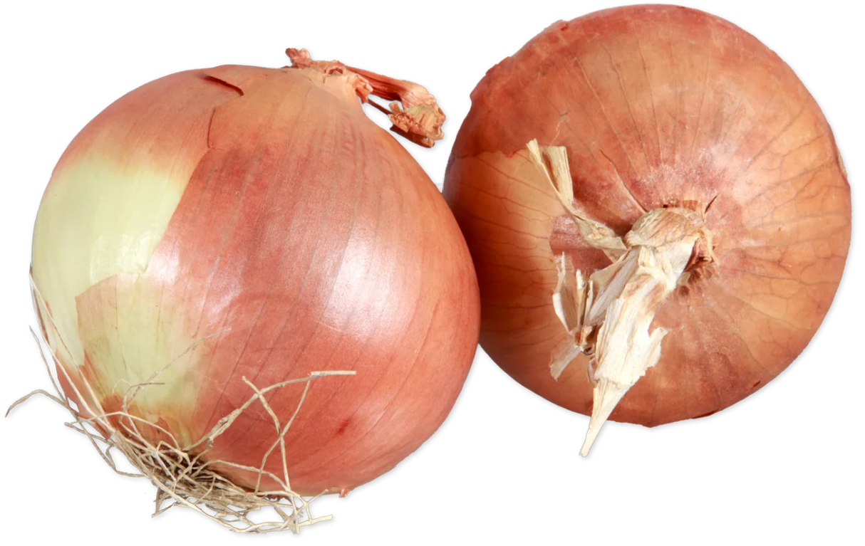 Jumbo Yellow Onions Fresh Large Cooking Onions for Roast Grill Saute - 1 Each