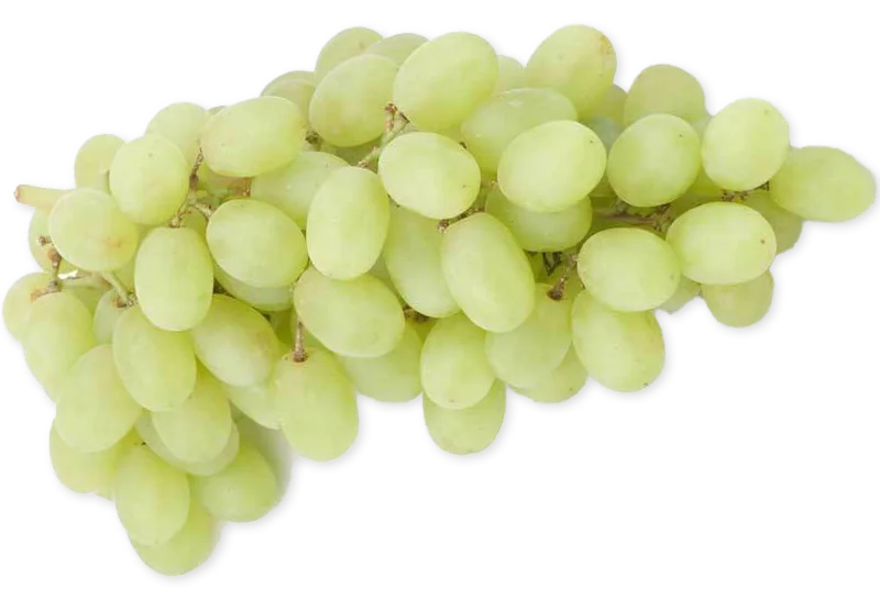 Sweet Baby Thompson Seedless Grapes Small Natural Sweet Fresh Grapes