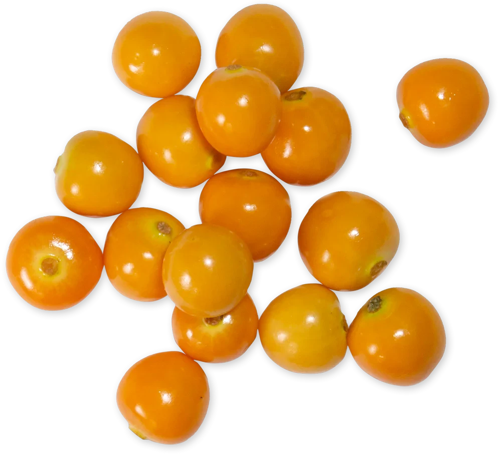 Cape Gooseberries Fresh Golden Berries Juicy Tart Superfruit for Snacking and Cooking