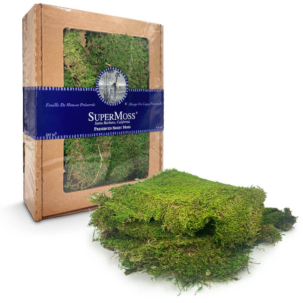Preserved Sheet Moss Party Decoration
