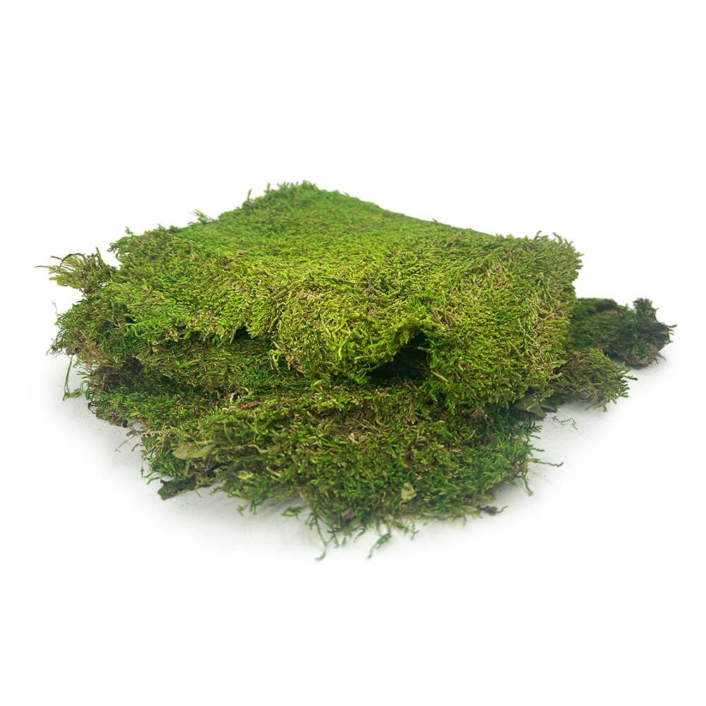 Preserved Sheet Moss Party Decoration