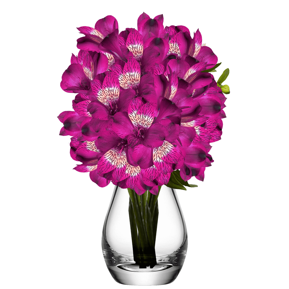 Purple Alstroemeria Stems Flower Bouquets