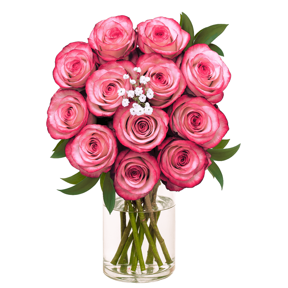 Deep Purple Roses 3 Dozen Fresh Cut Roses with Fillers