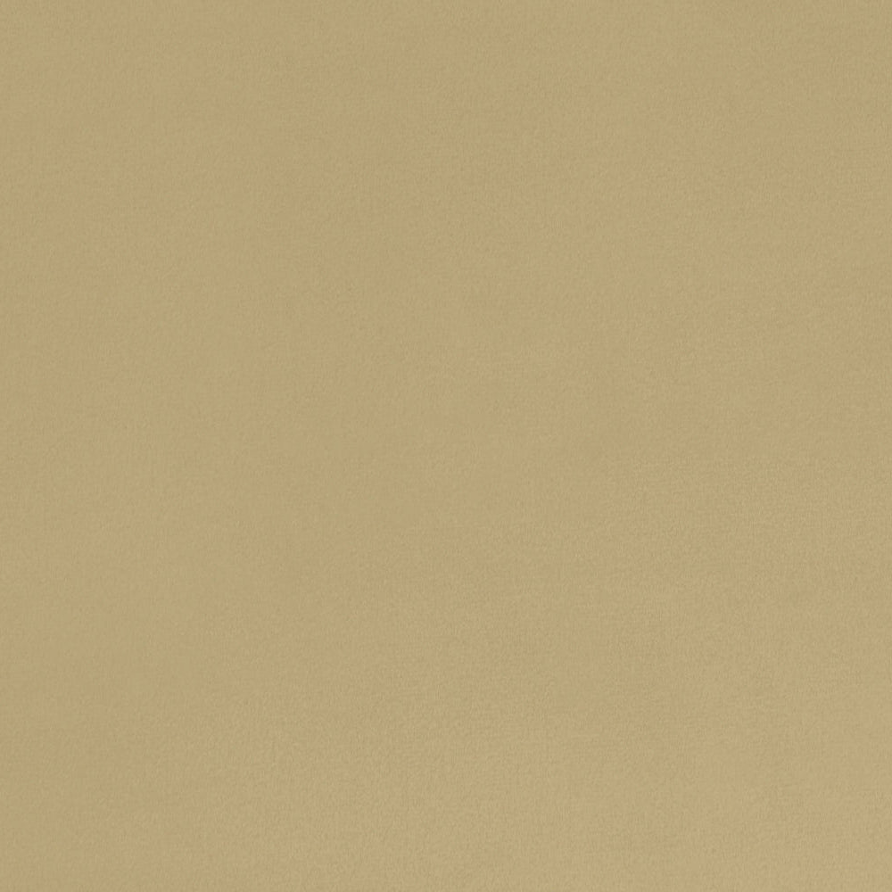 Minky Cuddle Fabric Solid Honey Per Yard