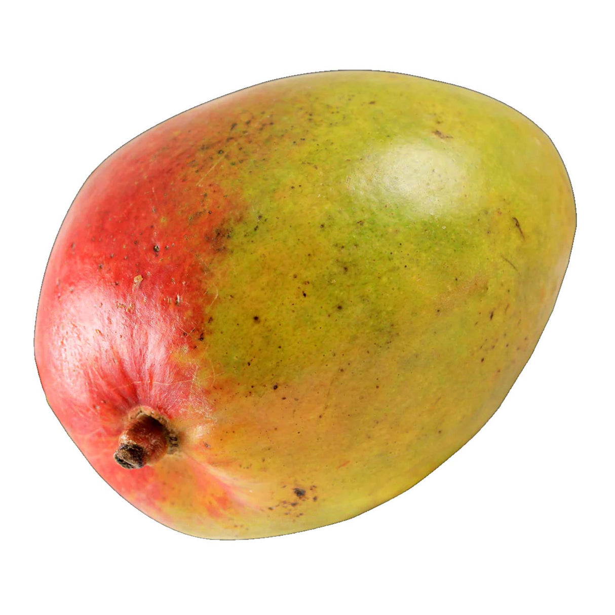 Trader Joe’s Mango 1 Each