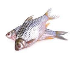 Rani Puthi Fish Tray