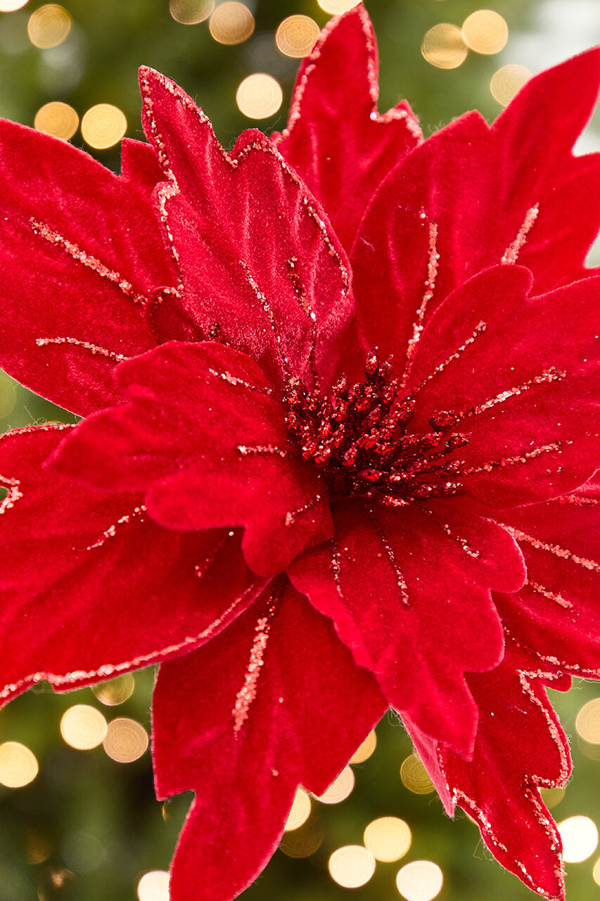 19” x 13.5" Velvet Glitter Poinsettia Stem