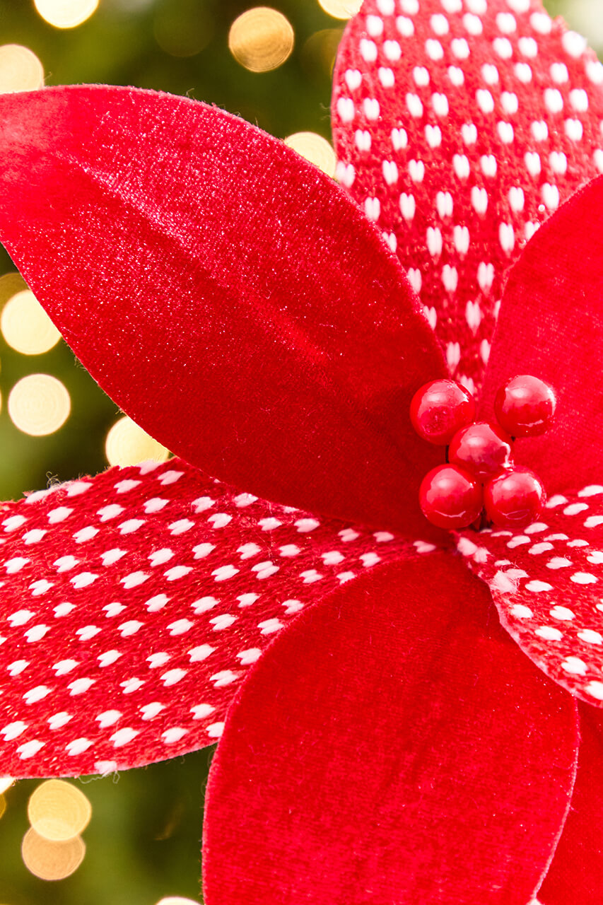 19" x 12" Red & White Patterned Poinsettia Stem