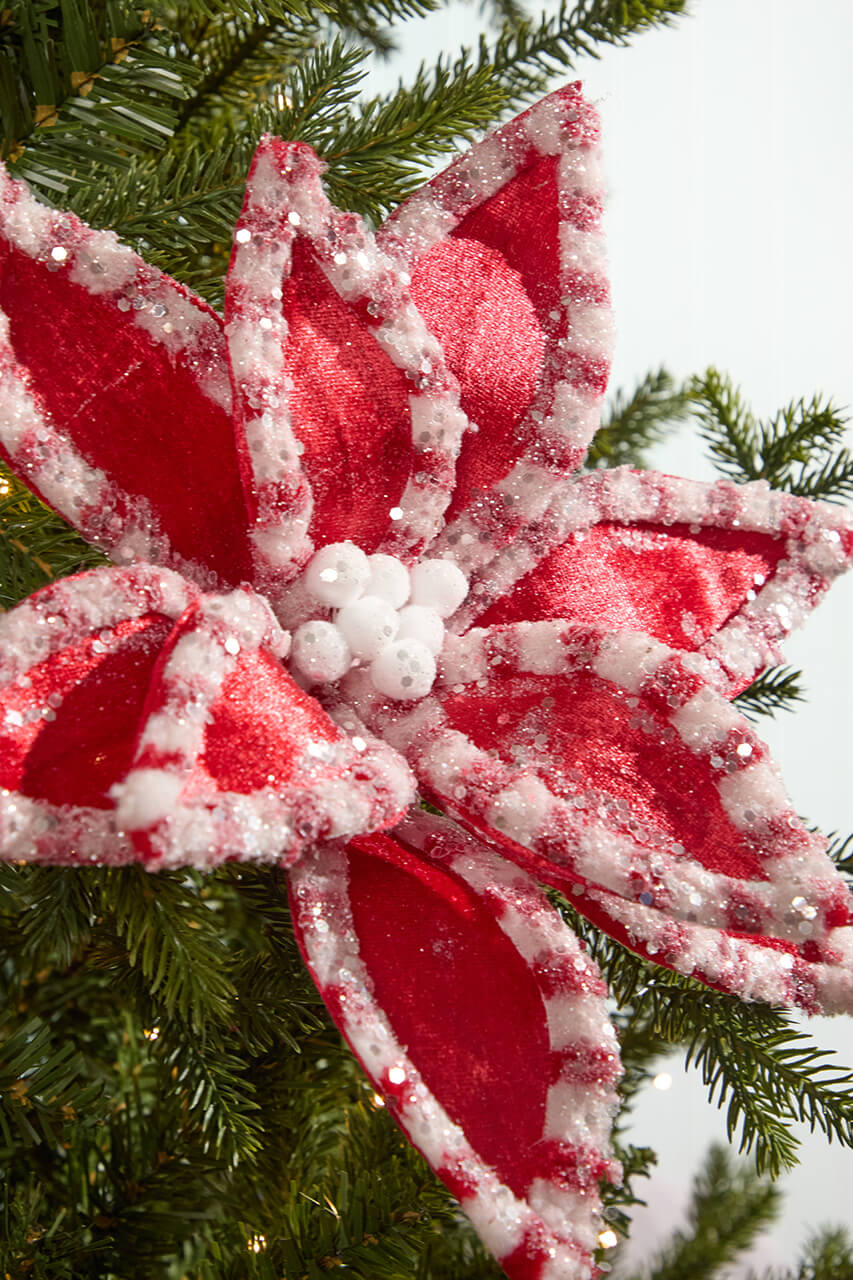 22" Red & White Candy with Snow Glitter Poinsettia Stem