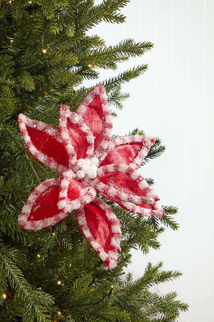 22" Red & White Candy with Snow Glitter Poinsettia Stem