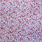 Mini Daisy Floral Poly Cotton Fabric - Fuchsia, Purple, Red, Royal Blue Daisy Print, 58/60" Width