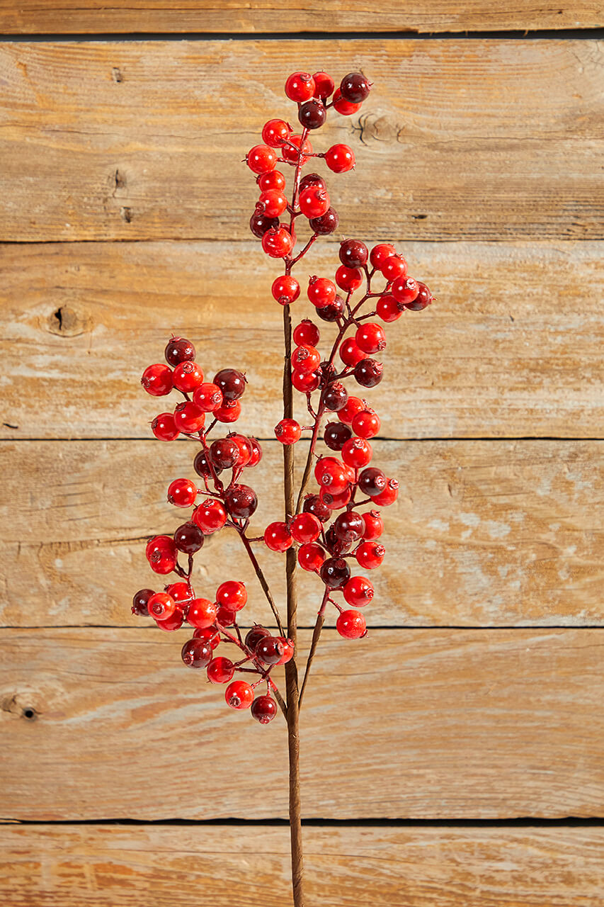 27" WP Berry Spray X 5