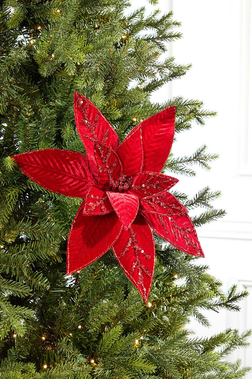 20" x 15" Velvet Jewel Poinsettia Stem