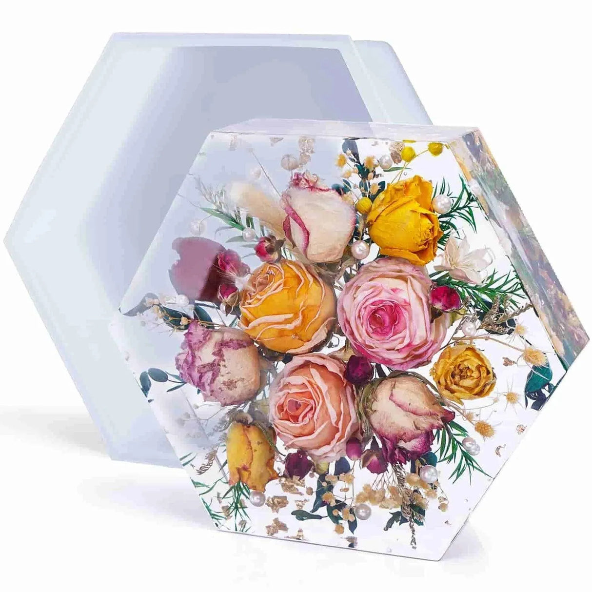 রজন সিলিকন ছাঁচ - ষড়ভুজ